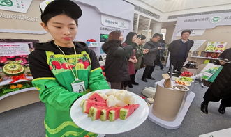 強化基礎 質量鏈攜手全國首家農業(yè)品牌創(chuàng)意體驗港 共建農產品質量鏈