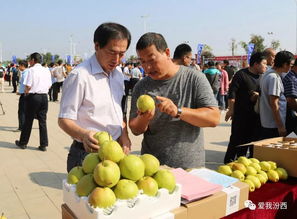 中國汾西第二屆核桃節(jié)暨消費(fèi)扶貧農(nóng)產(chǎn)品展銷會盛大開幕，助力初級農(nóng)產(chǎn)品產(chǎn)業(yè)發(fā)展