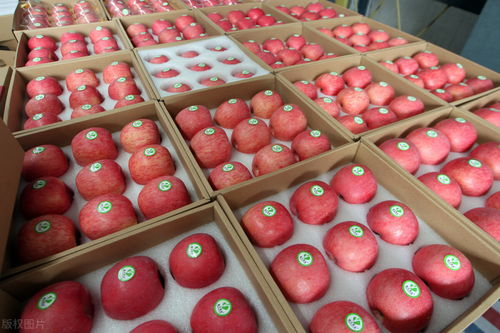 貨主拉蘋果蕉被收千元過路費 農產品分類爭議引發(fā)關注