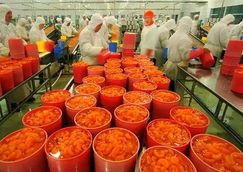 農業(yè)的五座“金礦” 抓住初級農產品機遇，實現(xiàn)創(chuàng)富增收