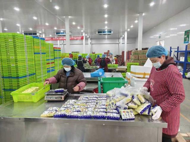 年味漸濃，果蔬禽畜開啟“春運”模式